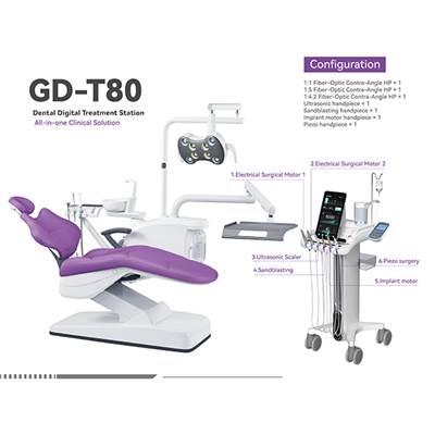 GD-T80